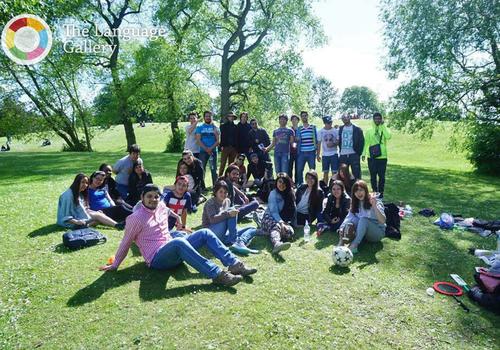 social programme