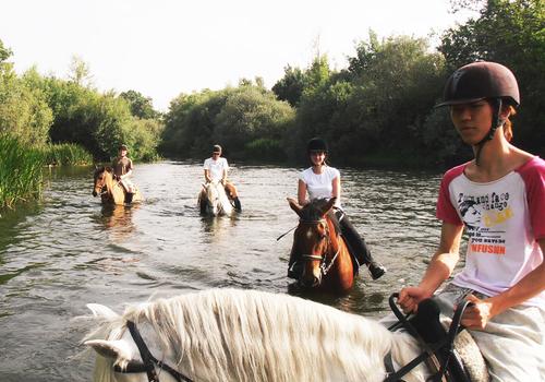 Aktivitätenprogramm Reiten
