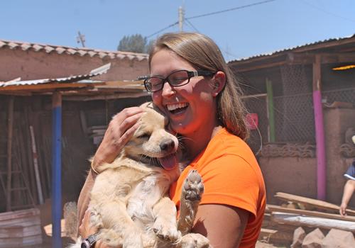 Animal care volunteering