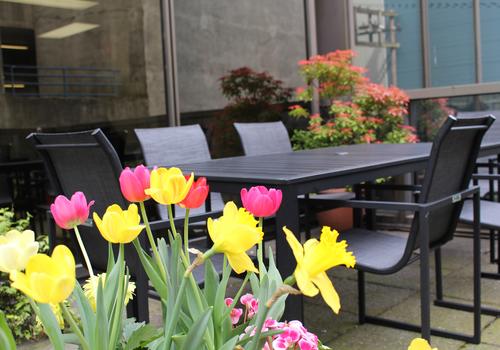 iTTTi Vancouver Patio